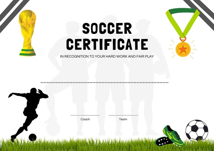 Certificate in Football Scouting & Talent Identification